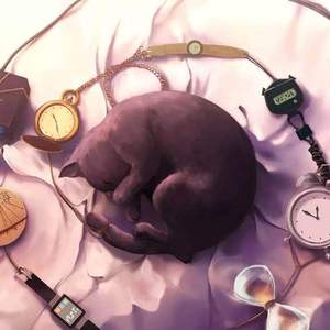 户外露出TV毛片
