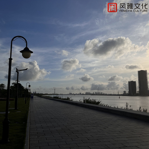 户外露出TV毛片
